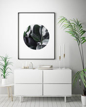 Load image into Gallery viewer, FICUS
